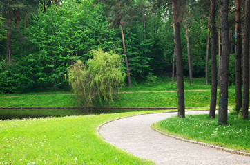 Obraz premium path through the park