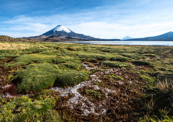 Snow capped Parinacota Volcano over the Lake Chungara, Chile