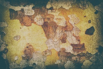 texture of sycamore bark