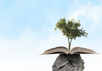 Reading and self education