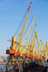 tower crane in the port