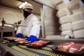 Stickers fenêtre Viande Gants et combinaison de sécurité pour la manipulation des aliments à base de viande avec masque