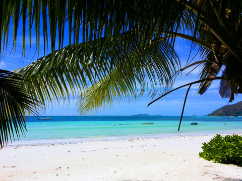 Plage paradisiaque aux Seychelles