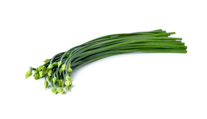 stack Chives flower or Chinese Chive on white background.