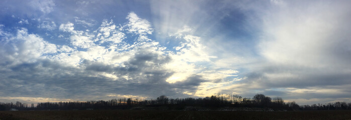 Crepuscolo dietro gli alberi