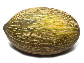 Melón aislado