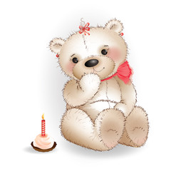 Teddy bear with cake on white background
