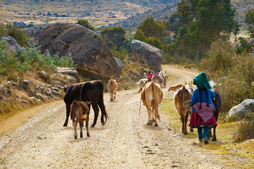 Farming In Peru, South America.