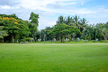 City park at Queen Sirikit Park Bangkok, Thailand