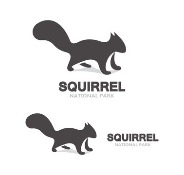 Gray Squirrel Logo 