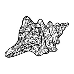 Stylized vector shell, zentangle
