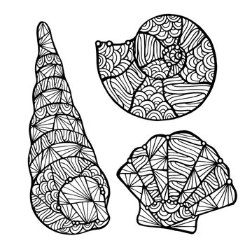 Stylized vector shell, zentangle