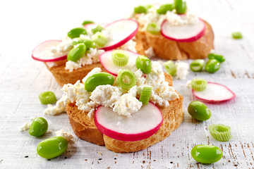 toasted bread with radish and cottage cheese