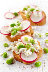 toasted bread with radish and cottage cheese