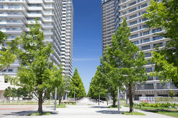 新緑の並木通りと高層ビルとマンション