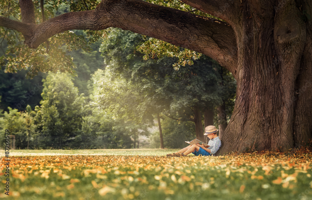 Wall mural Little boy reading a book under big linden tree