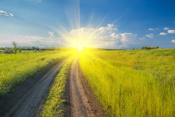 Fototapeta premium Summer landscape with green grass and road