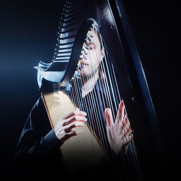 Harp player. Classical musician harpist