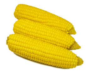 ear of corn