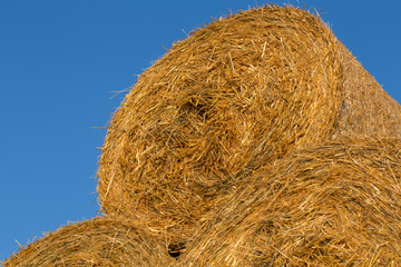 Piled hay bales on a field against blue sky
