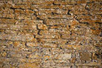 Old stone wall texture with moss