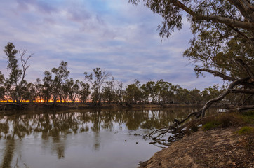 Obraz premium Tranquil Australian river at dawn