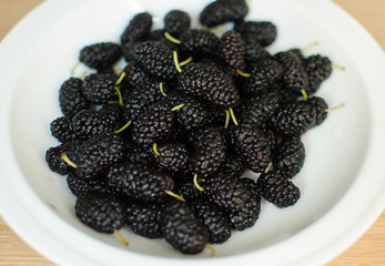 mulberry on a plate