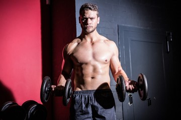 Fototapeta na wymiar Portrait of muscular man lifting dumbbells
