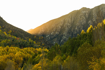 Beautiful autumn in Arrowtown New Zealand