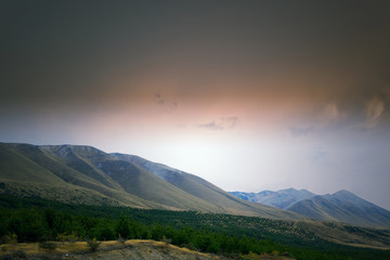 Natural summer landscape