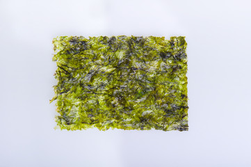 Marine algae close up macro isolated on white background