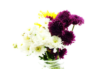 flowers and vase isolated on white background