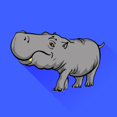 Hippopotamus