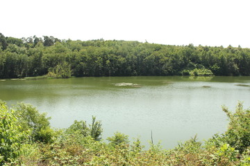 See im Wald, Vogelschutzgebiet