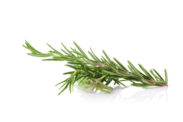 Fototapeta premium rosemary isolated on white background