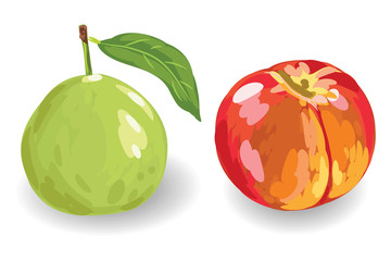 Guava and Peach isolated on White Background