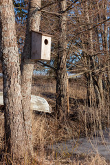 Waterfowl birdhouse on tree