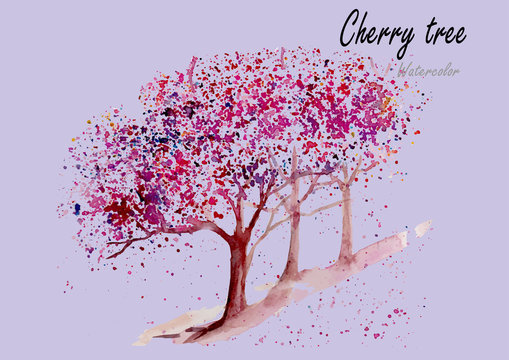 Cherry trees.Hand drawn watercolor painting.Vector illustration,spring concept