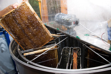 Fototapeta na wymiar Honey extractor 