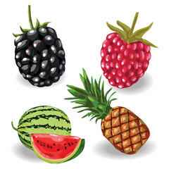 Fruits isolated on white Background