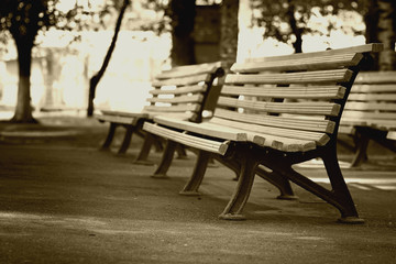 Fototapeta na wymiar bench in the park in spring