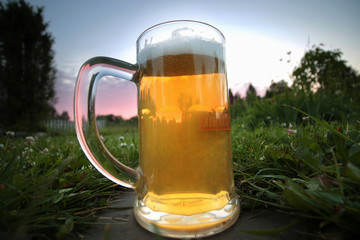 mug of beer at sunset