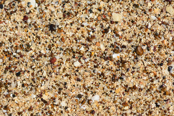 Sand on beach texture background.