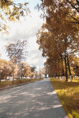 landscape park in the city autumn