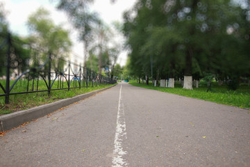 landscape park in the city summer