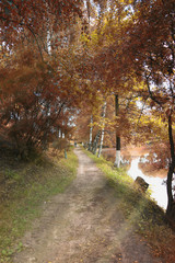 landscape park in the city autumn