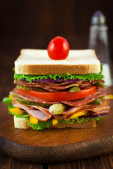 Large Chicken, Ham and Turkey Sandwich