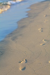 Footprints