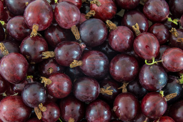 Gooseberry background