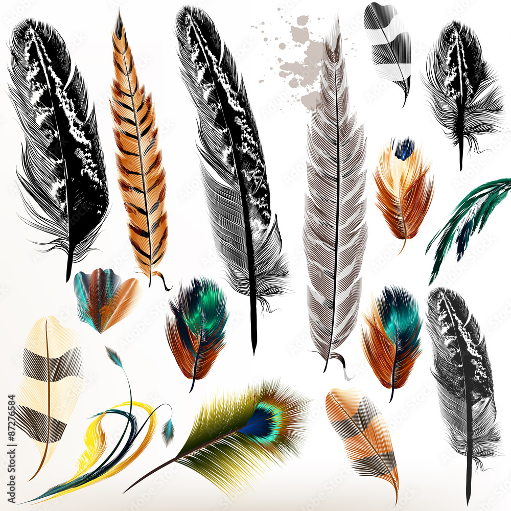 Aufkleber Set of vector realistic colorful feathers
